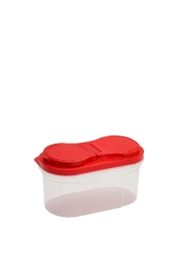 Container Frisian Flag 2 SKM TW-CT 166