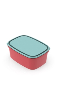 Lunch Box 475 ml TW-SW 50 